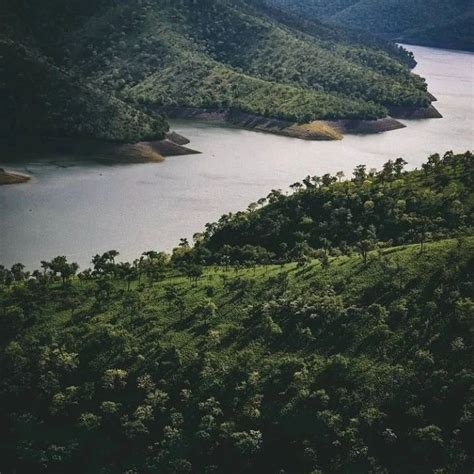 Nallamala Forest And Hills | Srisailam | Nandyal Distric