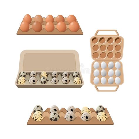 Half Cooked Egg Eggshell Stock Illustrations 326 Half Cooked Egg