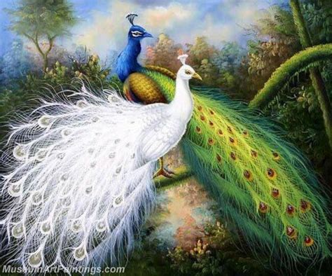 Peacock,Famous Peacock Paintings for Sale - MuseumArtPaintings.com