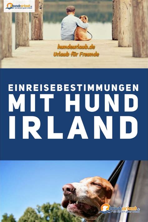 Urlaub Mit Hund Einreisebestimmungen F R Irland Innerhalb Der Eu