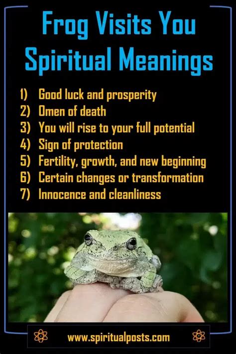 What Does It Mean When A Frog Visits You Or Crosses Path Spiritual Posts