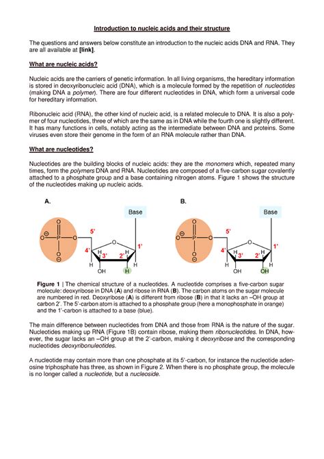 Nucleic Acids Lecture Notes Introduction To Nucleic Acids And Their