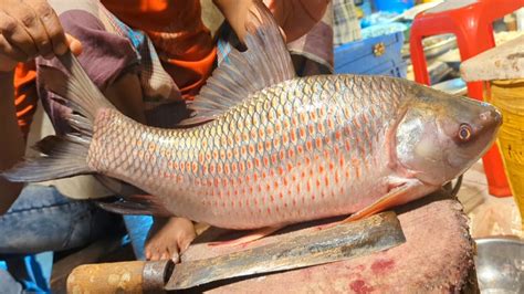 Amazing Rohu Fish Cutting Skills In Fish Market Fish Cutting Skills