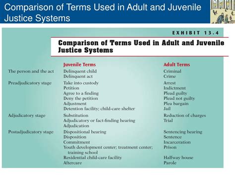 Ppt Chapter 13 Juvenile Justice In The Twenty First Century