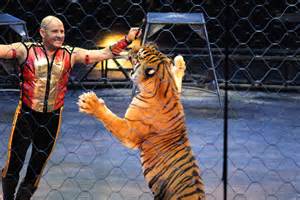 Circus Weekend Part 2: The Circus | Gail B. Hyatt