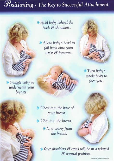 Newborn Breastfeeding Guide At Kyle Taber Blog