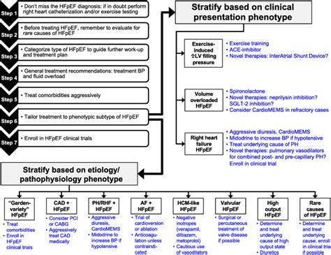 Stepwise Approach To The Treatment Of Heart Failure With Preserved