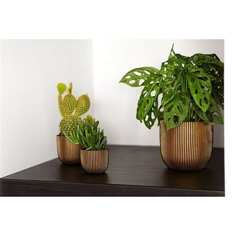 Capi Europe Nature Plantenpot Groove Gold Collectie Buitenmaat X H