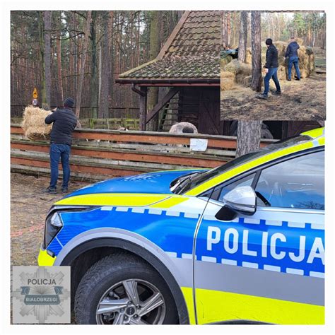 Policjanci Z Komendy W Bia Obrzegach Przekazali Jedzenie Dla Zwierz T W