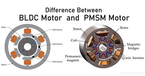 What Is The Difference Between Bldc And Pmsm Motor Wantoask