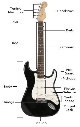 Parts of a Guitar - Learn the Guitar's Anatomy - Guitar Lesson World