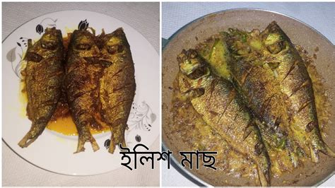 অমৃত একটা রেসিপি। এইভাবে একবার ইলিশ মাছ রান্না করে খেলে বারবার খেতে