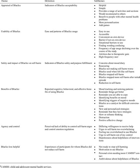 Themes Theme Definition And Subthemes Derived From Thematic Analysis