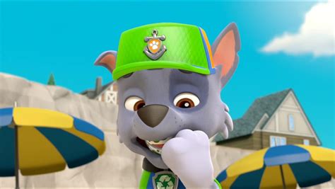 Paw Patrol Rocky Poster