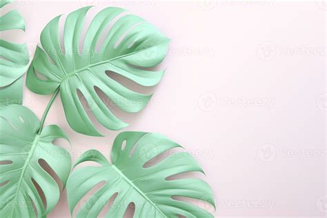 Pastel Colors and Tropical Leaves. Minimalist Nature Background.Created ...