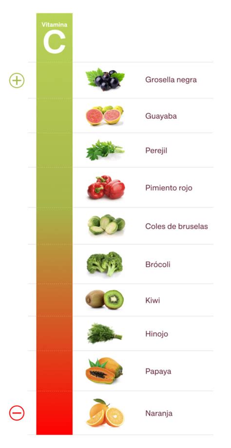 Cual Es La Funcion De La Vitamina C