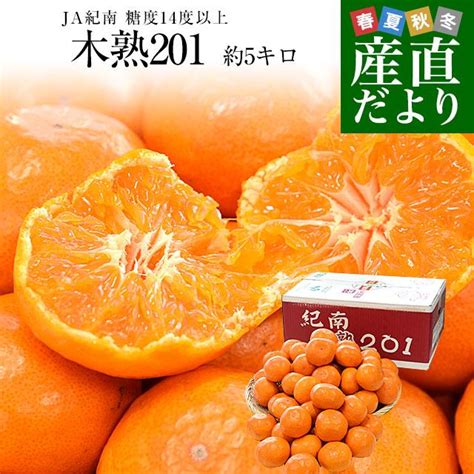 和歌山県 Ja紀南 高糖度みかん「木熟201」糖度14度以上 Sサイズ 約5キロ 60玉前後 送料無料 蜜柑 ミカン 柑橘