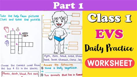 EVS Worksheet For Class EVS For Grade 48 OFF