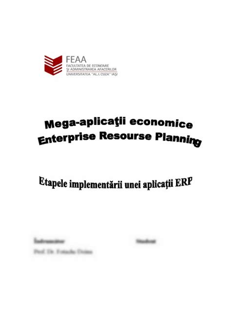 Referat Etapele Implement Rii Unei Solu Ii Erp