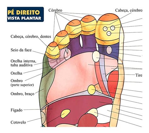 Poster Reflexologia Podal 60x80cm Pontos De Pressão Dos Pés