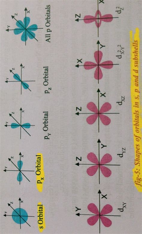 Draw The Shapes Of S P And D Orbitals