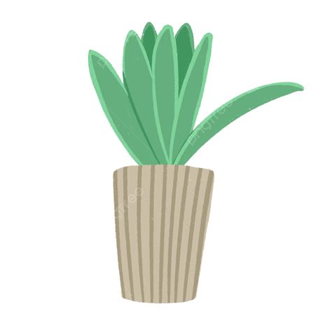 Plant Vase Png Picture Brown Vase Green Plant Card Potted Plant Brown