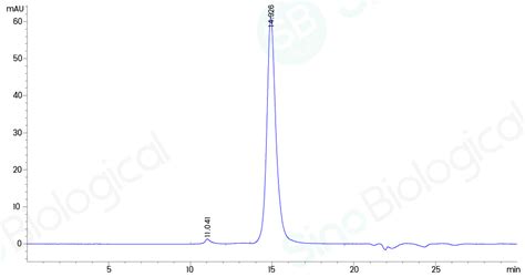 Recombinant Human Pd L B H Protein Hnah Sino Biological