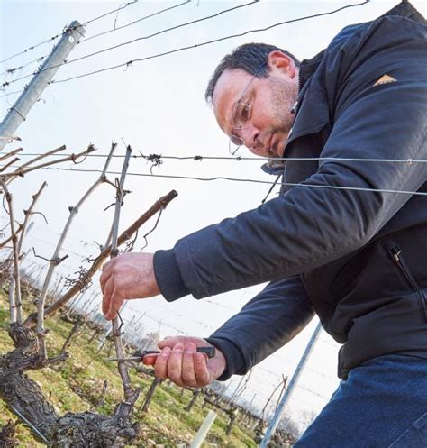 Yann Chave Crozes Hermitage