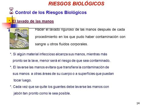 Prevencion Riesgos En Riesgos Biol Gicos Control Prevenci N Y