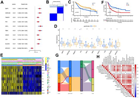 Integrating Single Cell RNA Seq To Identify Fibroblast Based Molecular