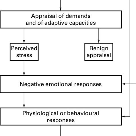 Biopsychosocial Model Of The Stress Process Designed To Illustrate The