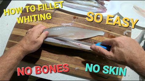 How To Fillet Whiting No Bones No Skin No Mess Youtube