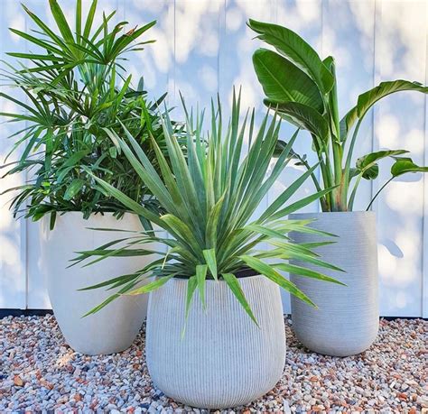 Potted Plants Patio Inspiration