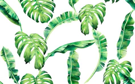 Pintura Em Aquarela Folhas Tropicais Verdes Sem Costura De Fundo