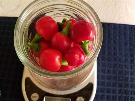 Pickled Hot Cherry Peppers Recipe (Quick Pickled and Canned)