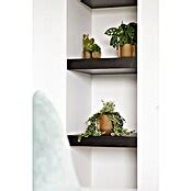 Capi Europe Nature Plantenpot Groove Gold Collectie Buitenmaat X H