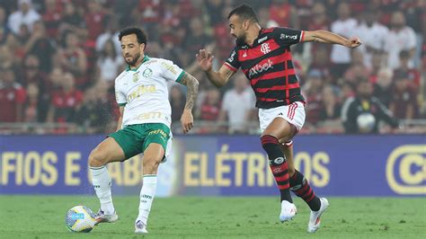 Palmeiras E Flamengo Ter Allianz Parque Capacidade Reduzida