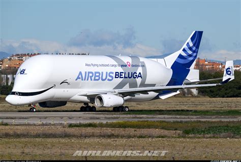 Airbus A330 743l Beluga Xl Airbus Transport International Aviation