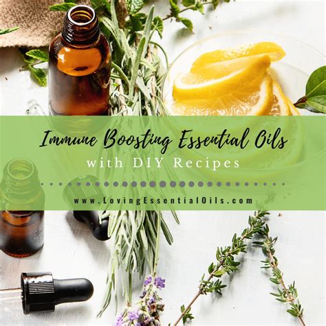 Immune System Boosting Essential Oils With Diy Recipes And Blends