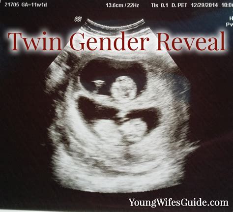 Our Twin Gender Reveal (for our second set of twins)