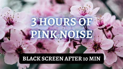 Hours Pink Noise Youtube