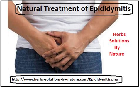 8 Natural Treatments Of Epididymitis Natural Treatments Herbal Treatment Treatment