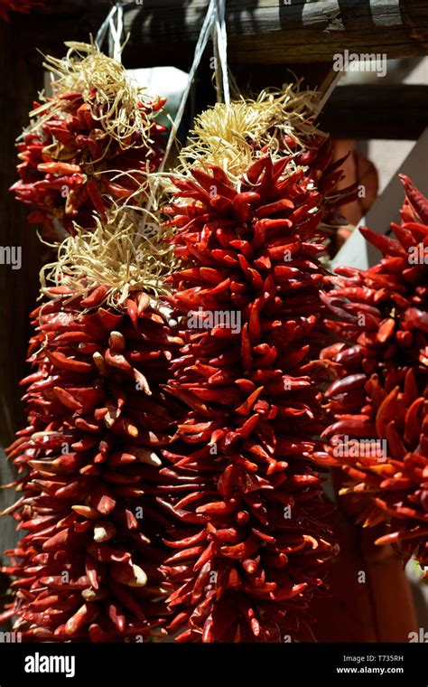 Strings Of Decorative Dried Red Chile Peppers Called Ristras Hanging In