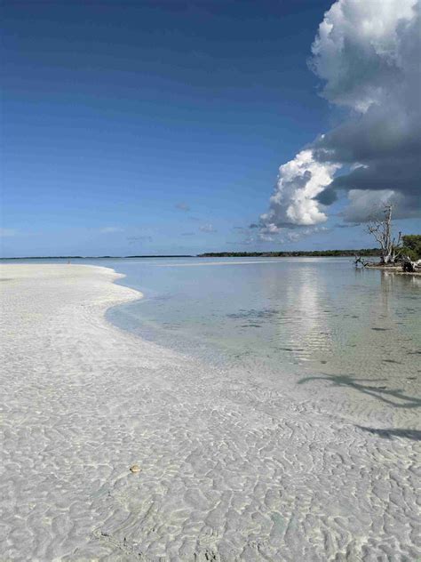 Snipes Key The Story Of The Famous Snipes Sandbar Key West Casual