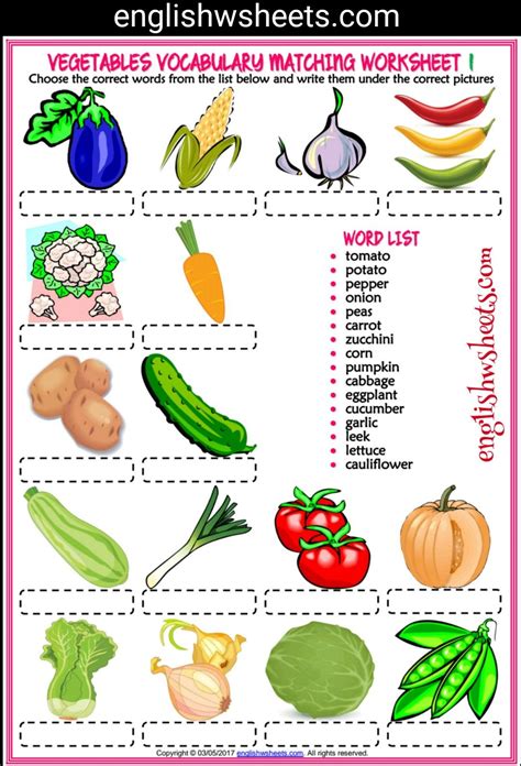 Vegetables Esl Printable Vocabulary Matching Exercise Worksheets For