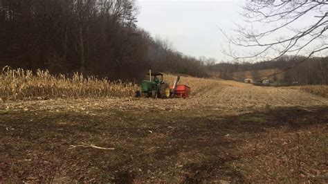 Picking Corn Youtube