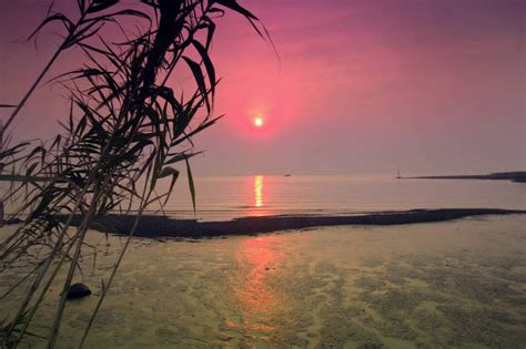 无人横图室外白天正面旅游度假海浪海洋美景日落沙滩芦苇上海中国亚洲沙子海岸景观浪花晚霞霞光落日沙地