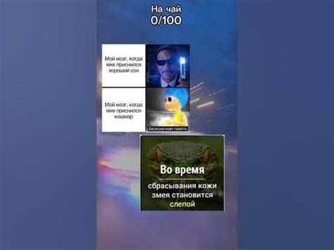 Мем,ссылка на донат в комментариях #мемы #надеюсьзалетит #shorts #факты ...