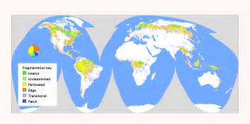 Conservation Ecology Global Scale Patterns Of Forest Fragmentation