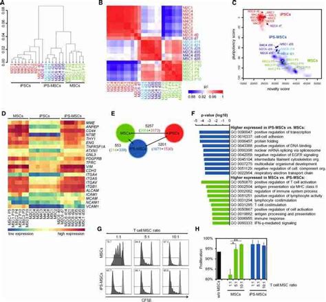 Gene Expression Profiles Of Ips Mscs Are Similar To Primary Mscs Download Scientific Diagram